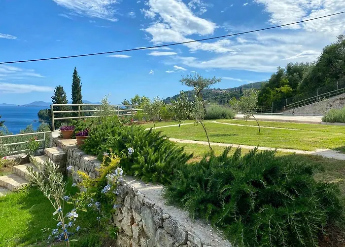 Paleopetres K-nine - Premium - -