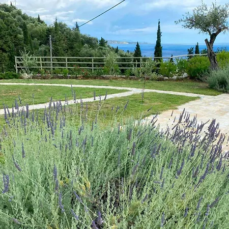 Tatil Evi Paleopetres K-nine - Premium - -